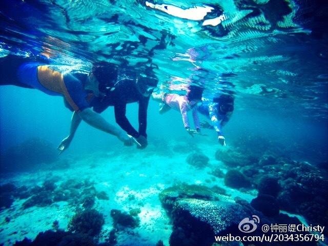 眼镜蛇秘密行动